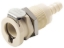Show details for CPC Kupplungen 1/4 Hose Barb Non-Valved Panel Mount Polypropylene Coupling Body- 25 Stk,  Art.Nr. : PLC1600412 Picture of CPC Kupplungen 1/4 Hose Barb Non-Valved Panel Mount Polypropylene Coupling Body- 25 Stk,  Art.Nr. : PLC1600412
