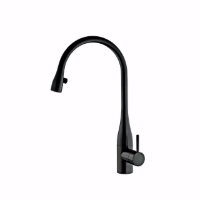 Show details for KWC EVE Küche schwarz verchromt A 225 Hebelmischer Auszugauslauf verdeckt Neoperl Caché integr, schwarz-verchromt, seitenbed., flex.PEX 3/8", mit Steckernetzteil Z.635.582, Art.Nr. : 10.121.103.151FL Picture of KWC EVE Küche schwarz verchromt A 225 Hebelmischer Auszugauslauf verdeckt Neoperl Caché integr, schwarz-verchromt, seitenbed., flex.PEX 3/8", mit Steckernetzteil Z.635.582, Art.Nr. : 10.121.103.151FL