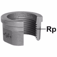 Show products in category GF - JRG 372 Einlegteil, flach dichtend, egal Picture for category GF - JRG 372 Einlegteil, flach dichtend, egal