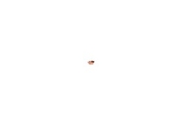 Show details for Flexflair - TROMPETENRING 1/4 SAE - FLEXFLAIR, Art.Nr. :CIF-2101-000 Picture of Flexflair - TROMPETENRING 1/4 SAE - FLEXFLAIR, Art.Nr. :CIF-2101-000