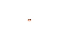 Show details for Flexflair - TROMPETENRING 1/2 SAE - FLEXFLAIR, Art.Nr. :CIF-2103-000 Picture of Flexflair - TROMPETENRING 1/2 SAE - FLEXFLAIR, Art.Nr. :CIF-2103-000