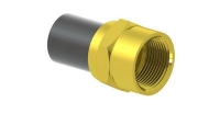 Show products in category +GF+ ELGEF Plus Übergangsadapter PE/Messing d25-63mm / SDR11 / Innengewinde Rp Picture for category +GF+ ELGEF Plus Übergangsadapter PE/Messing d25-63mm / SDR11 / Innengewinde Rp