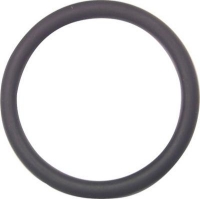 Show products in category +GF+ O-Ring EPDM/FKM Picture for category +GF+ O-Ring EPDM/FKM