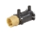 Show details for +GF+ ELGEF Plus Übergangsmuffe PE/Messing d32-63mm / SDR11 / Innengewinde Rp, d mm: 32, Art.Nr.: 720920258 Picture of +GF+ ELGEF Plus Übergangsmuffe PE/Messing d32-63mm / SDR11 / Innengewinde Rp, d mm: 32, Art.Nr.: 720920258